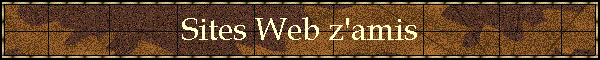 Sites Web z'amis